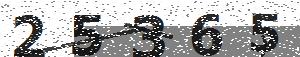 تصویر امنیتی